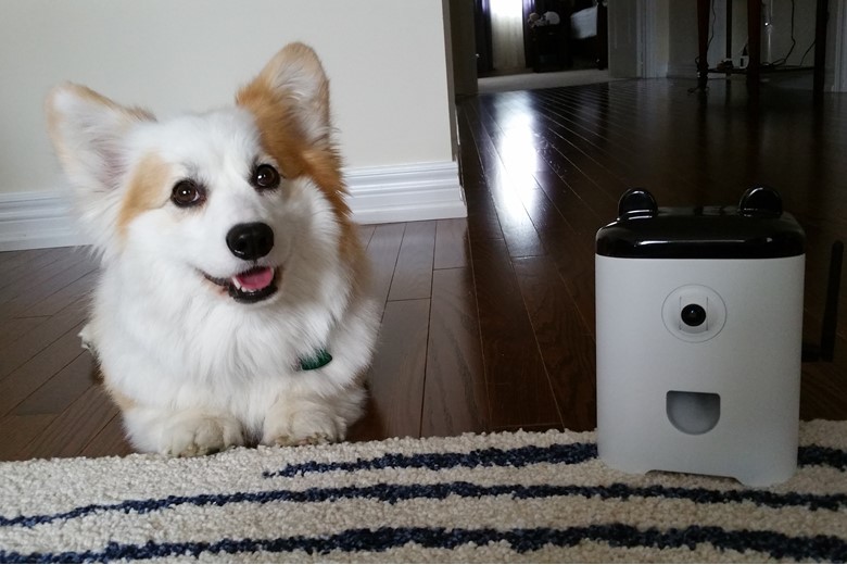Hardware, Software, and Firmware 2 Puppy and PetBot