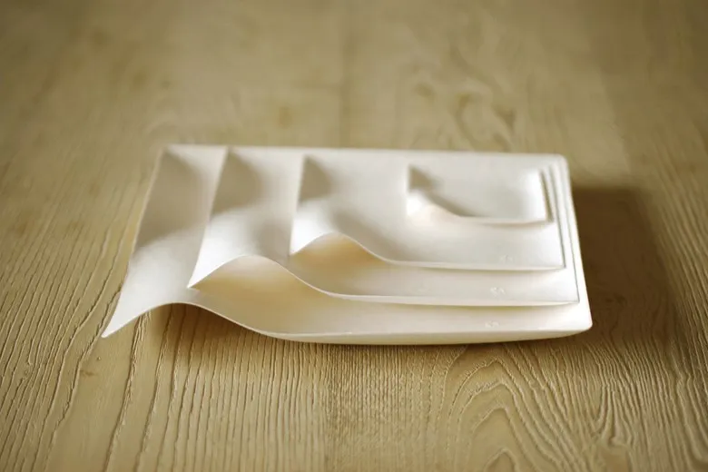 Compostable tableware invention design: WASARA
