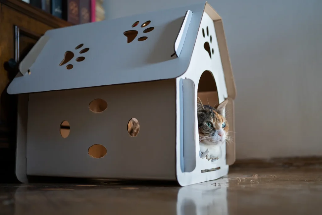 Cat and Dog Houses